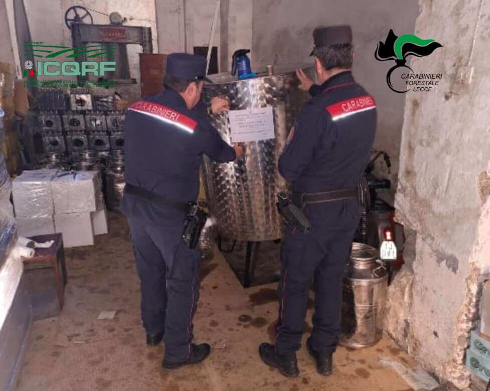 Campi Salentina, sequestrati 2.200 litri di olio extravergine contraffatto: 2 denunce Campi Salentina, sequestrati 2.200 litri di olio extravergine contraffatto: 2 denunce