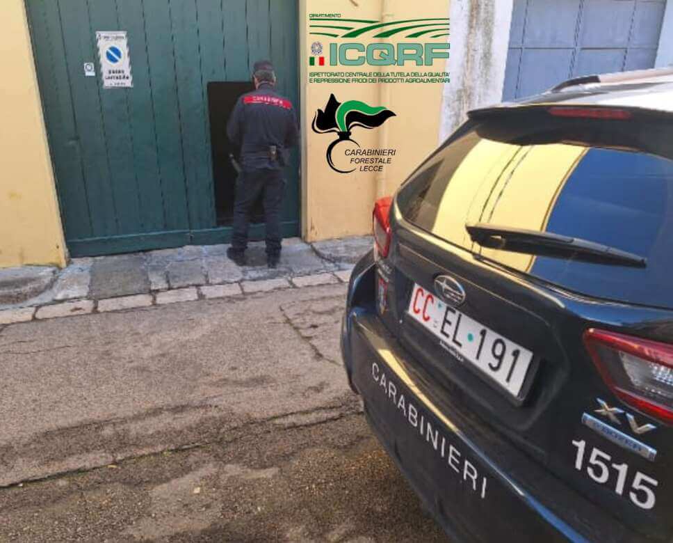 Campi Salentina, sequestrati 2.200 litri di olio extravergine contraffatto: 2 denunce Campi Salentina, sequestrati 2.200 litri di olio extravergine contraffatto: 2 denunce