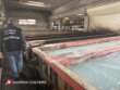 Monopoli, abbandono di rifiuti pericolosi e inquinamento: sequestrato uno stabilimento industriale – VIDEO