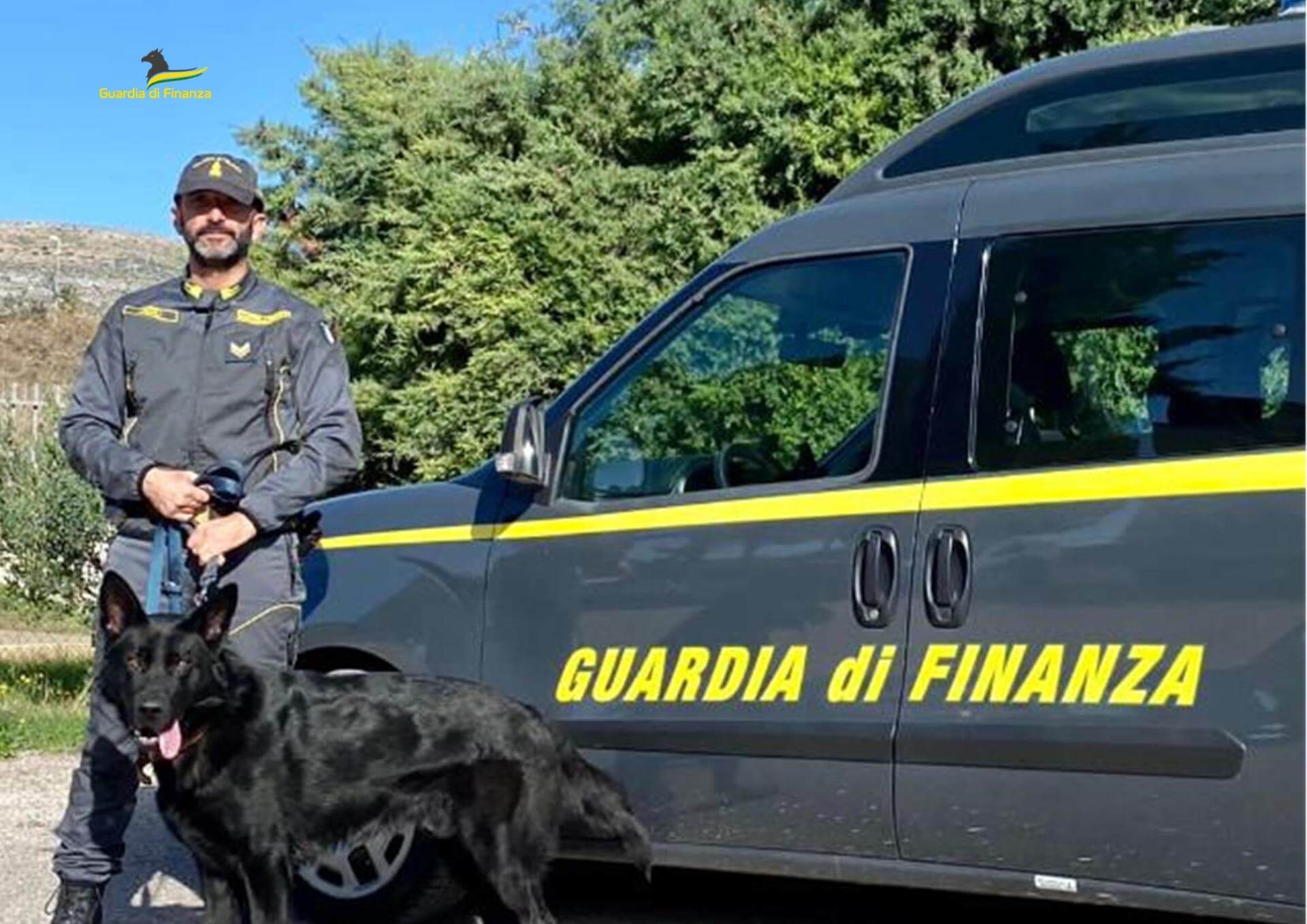 Foggia, oltre 160 chili di droga sequestrati in 290 operazioni della Gdf nel 2024 Foggia, oltre 160 chili di droga sequestrati in 290 operazioni della Gdf nel 2024