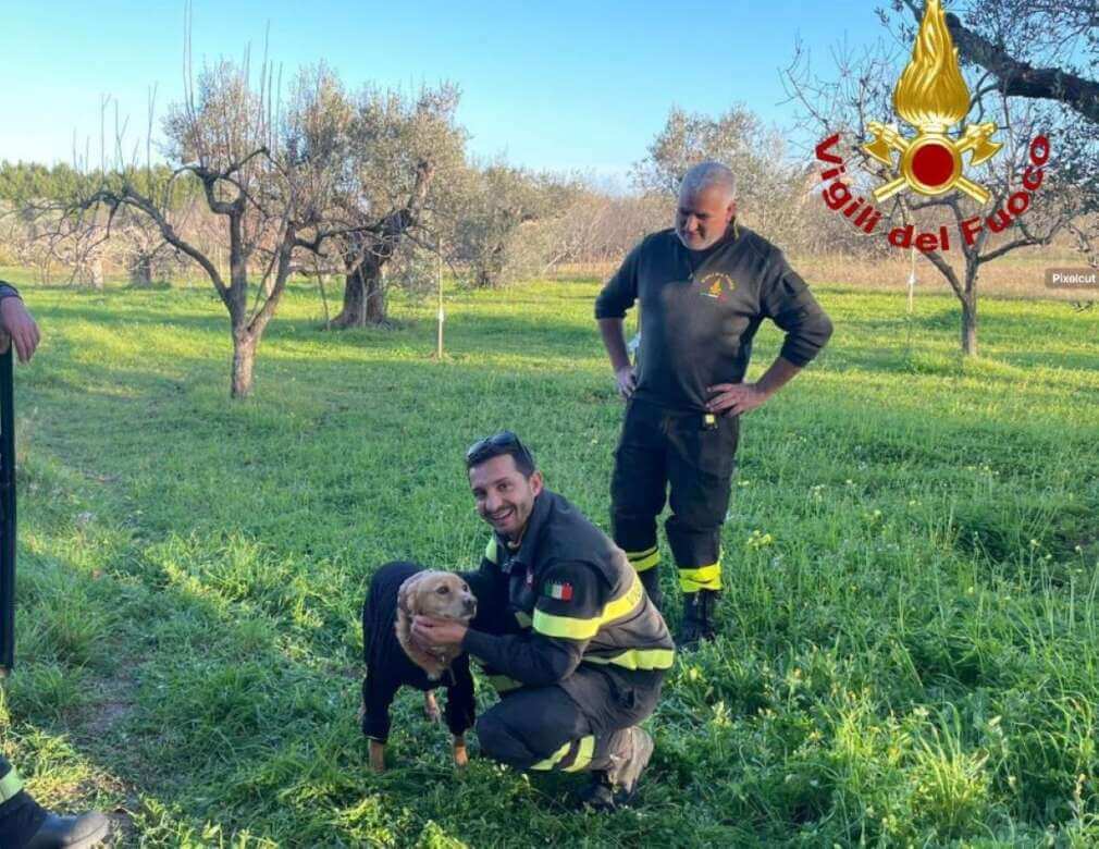 Galleria foto 'Cutrofiano, un cane finisce in una cisterna profonda 8 metri: salvato dai vigili del fuoco' - foto 2
