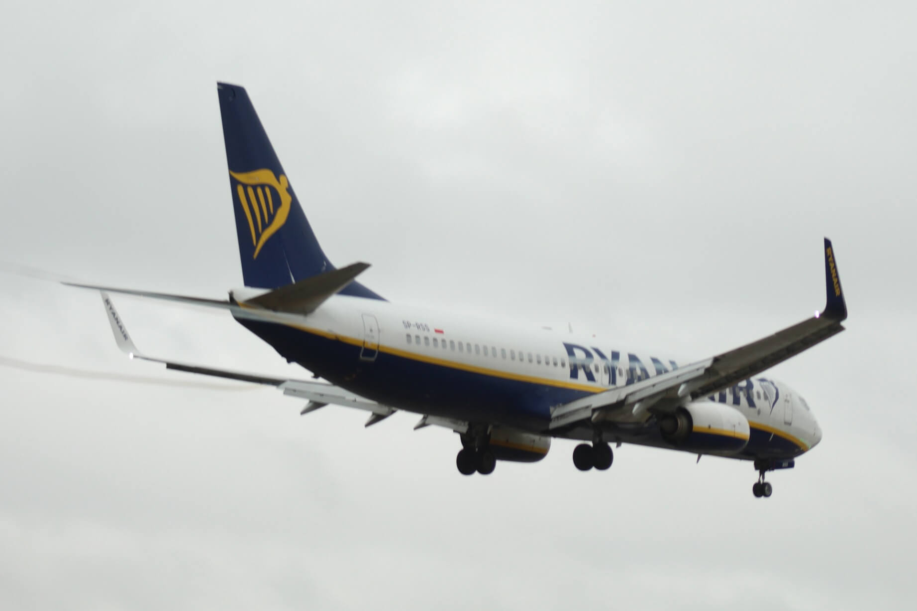 Bari, volo per Pisa in ritardo di quattro ore: passeggeri bloccati in aeroporto Bari, volo per Pisa in ritardo di quattro ore: passeggeri bloccati in aeroporto