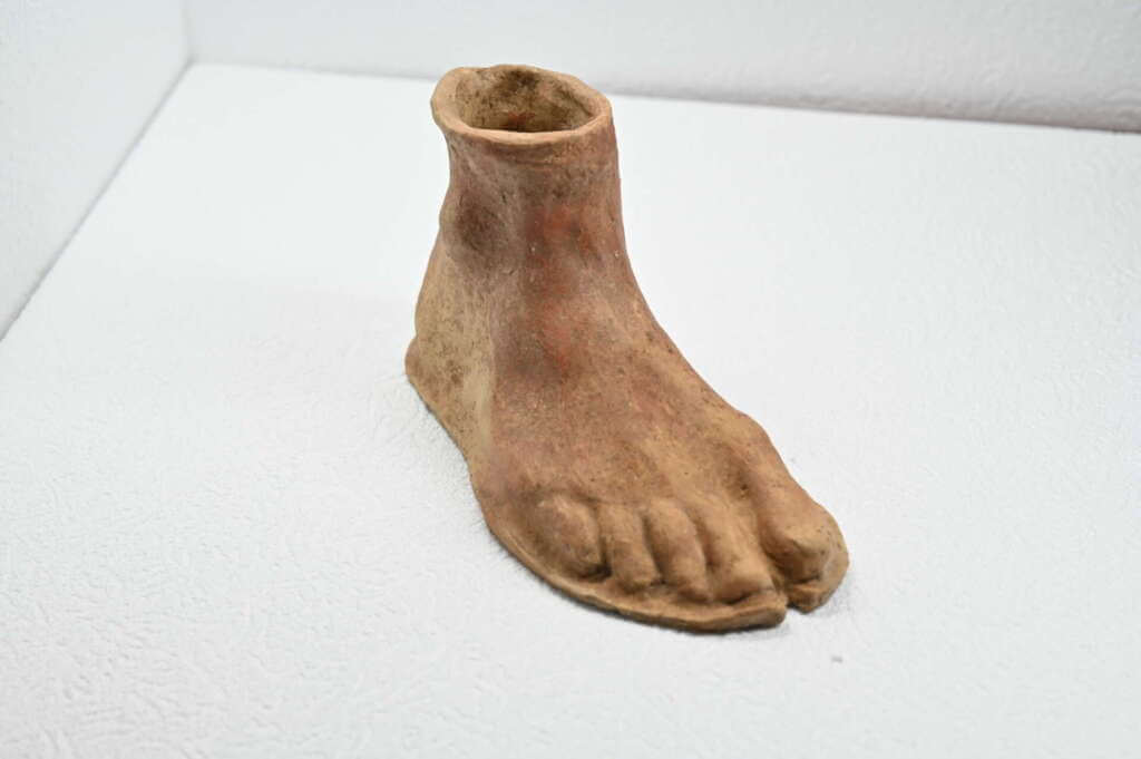 Alta velocità Napoli-Bari: durante i lavori emerge un tesoro archeologico – FOTO e VIDEO Alta velocità Napoli-Bari: durante i lavori emerge un tesoro archeologico – FOTO e VIDEO
