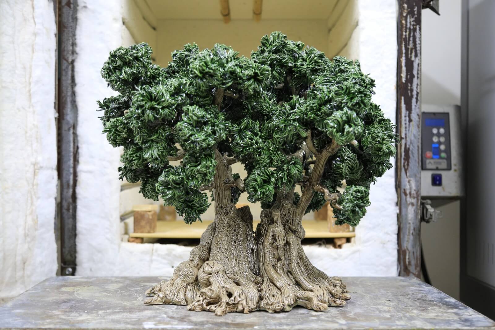 Puglia, gli ulivi millenari patrimonio Unesco rivivono in sculture di ceramica – FOTO Puglia, gli ulivi millenari patrimonio Unesco rivivono in sculture di ceramica – FOTO