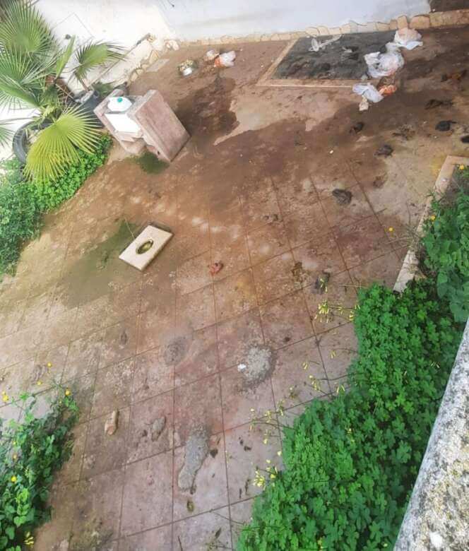 Galleria foto 'Surbo, cane ferito viveva tra le proprie feci in un giardino: una donna denunciata per maltrattamenti' - foto 3