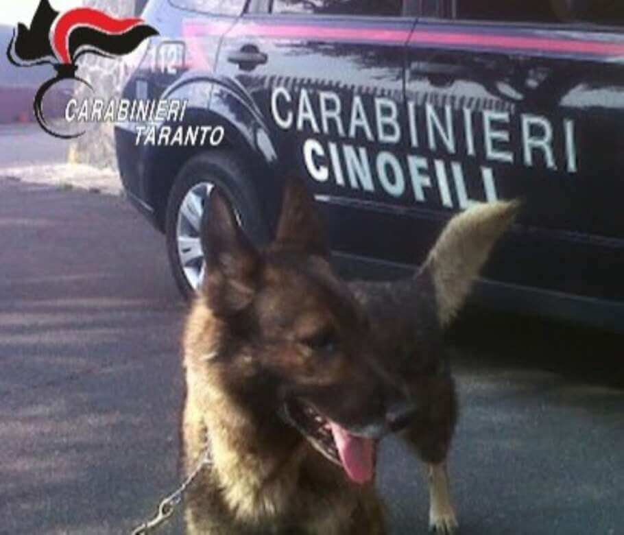 Galleria foto 'Taranto, Eros fiuta la droga in camera da letto: arrestata una coppia' - foto 1