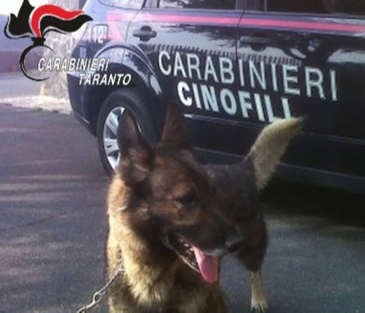 Taranto, Eros fiuta la droga in camera da letto: arrestata una coppia