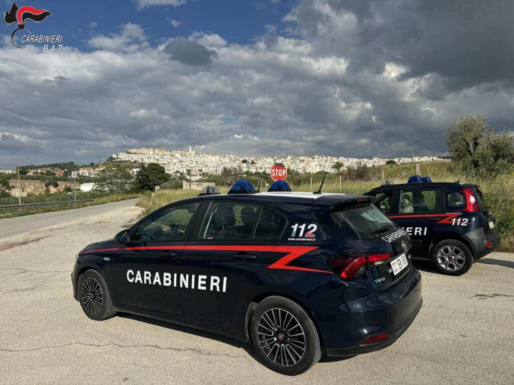 Galleria foto 'Minervino Murge, minaccia la sindaca e incendia l’auto del comandante dei vigili: arrestato un 46enne' - foto 1