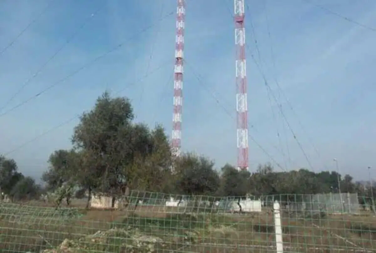 Bari, 1.200 alberi sui suoli ex Rai a Ceglie del Campo: un nuovo polmone verde per la città