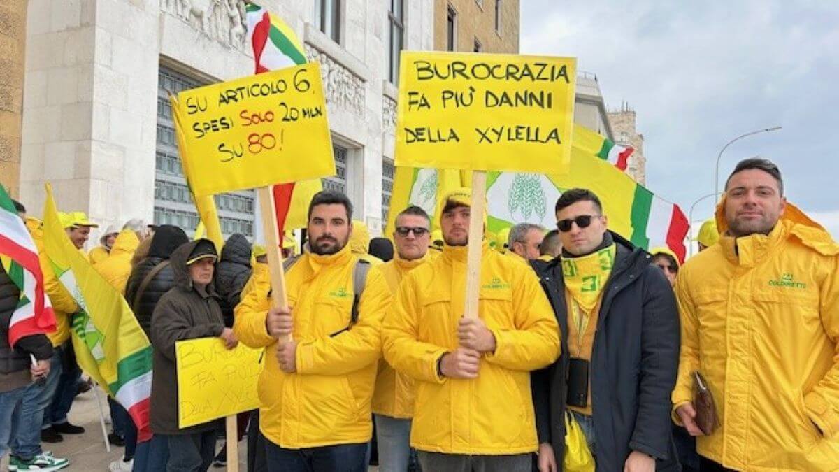 Xylella, flash mob degli agricoltori a Bari: «Il batterio avanza, servono interventi urgenti»