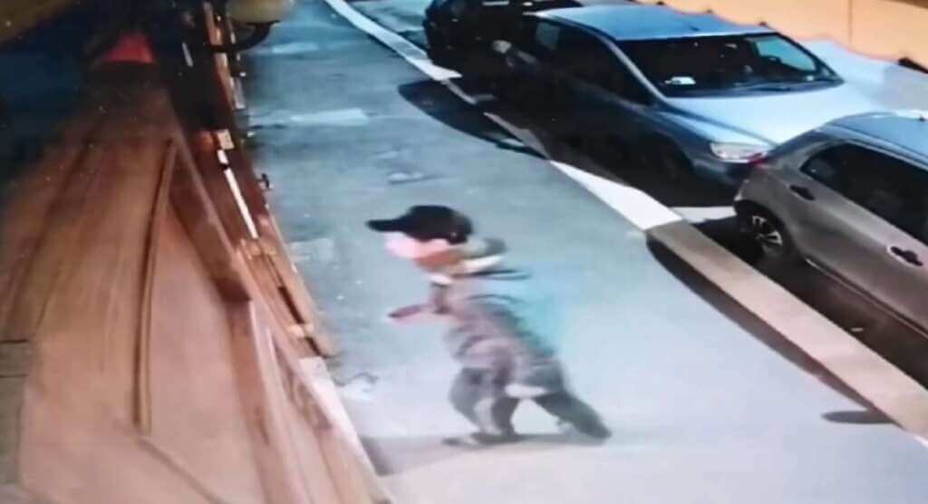 Galleria foto '«Un marocchino è entrato e ha rubato 2 telefoni e 1 borsello»: la denuncia del ristoratore – VIDEO' - foto 1