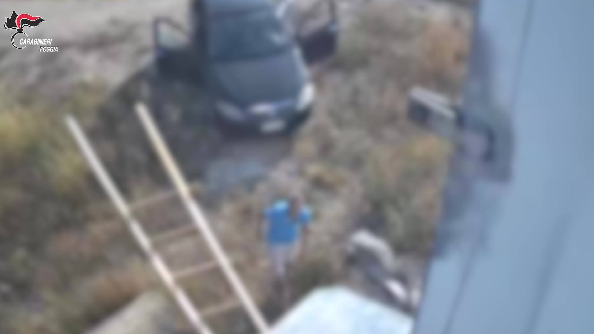 Torremaggiore, si introducono in una pala eolica e rubano materiale elettrico: 3 arresti – VIDEO Torremaggiore, si introducono in una pala eolica e rubano materiale elettrico: 3 arresti – VIDEO