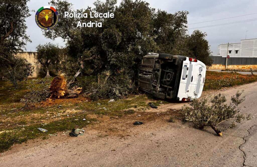 Galleria foto 'Incidente sulla provinciale tra Andria e Bisceglie: feriti i conducenti di un’auto e un furgone' - foto 3