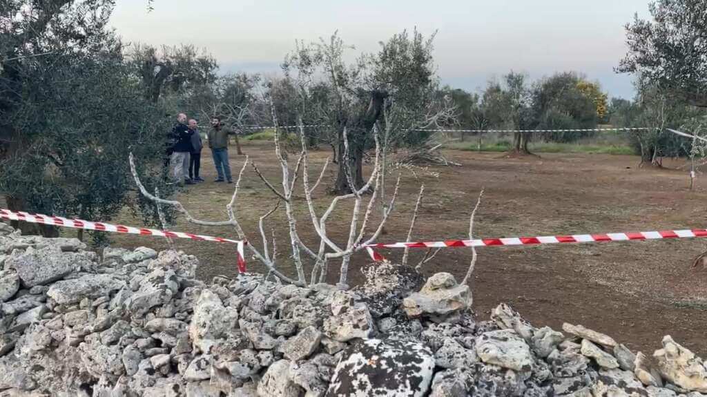Galleria foto 'Galatone, Danieli ucciso con un’ascia: fermato un 45enne, è il vicino di podere' - foto 1