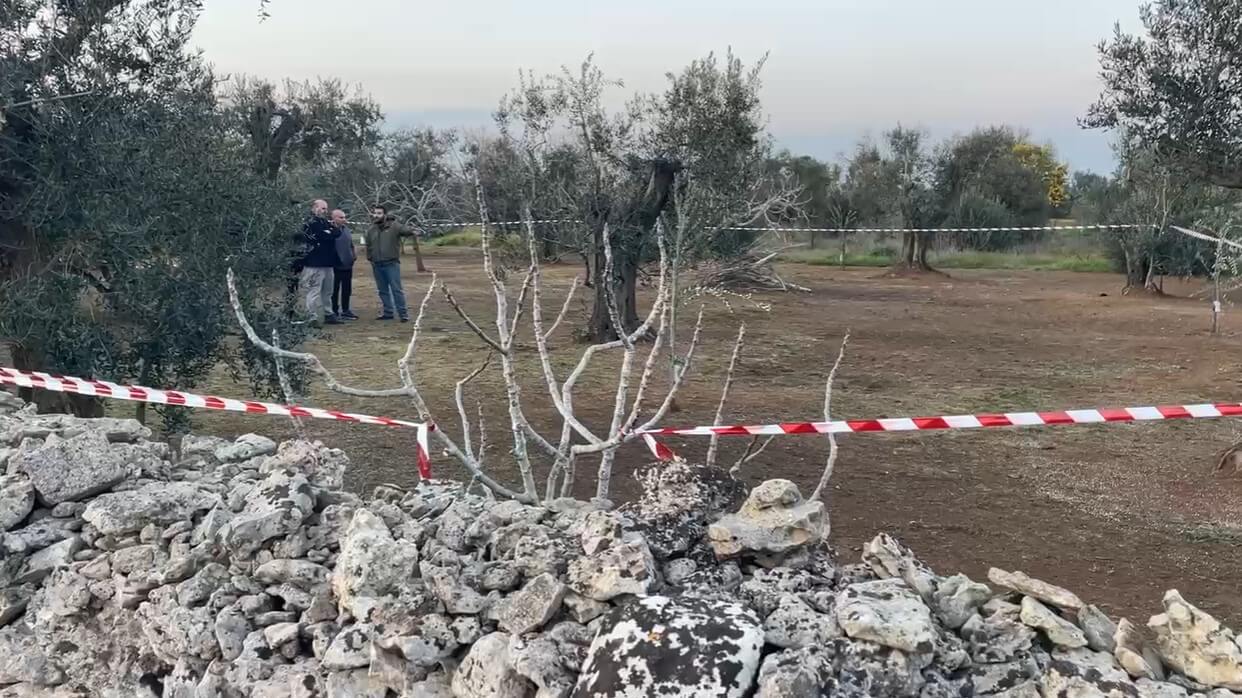 Galatone, Danieli ucciso con un’ascia: fermato un 45enne, è il vicino di podere Galatone, Danieli ucciso con un’ascia: fermato un 45enne, è il vicino di podere