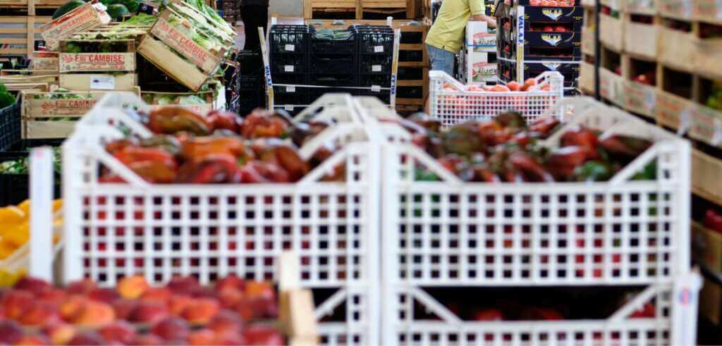 Galleria foto 'Asparagi e pomodori, l’orticoltura italiana parla lo slang pugliese' - foto 1