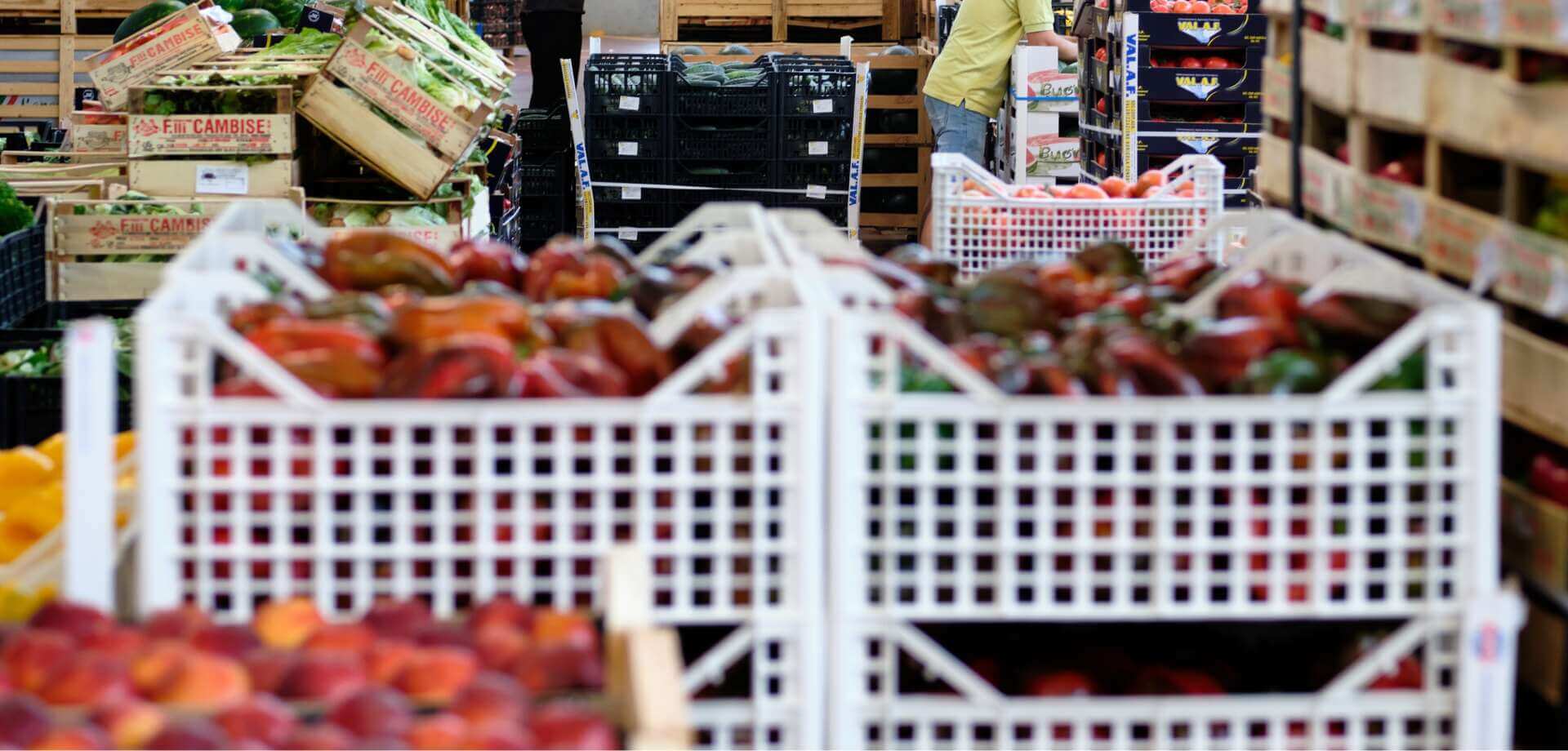Asparagi e pomodori, l’orticoltura italiana parla lo slang pugliese