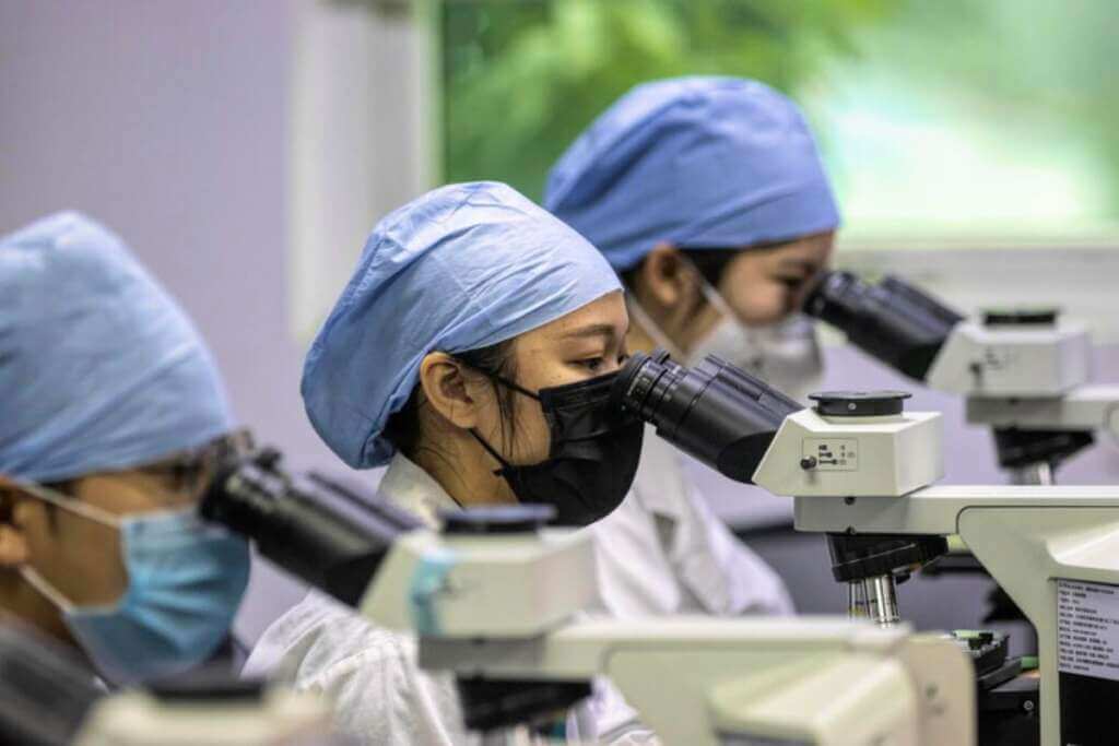 Galleria foto 'Scoperto un nuovo coronavirus in Cina: è trasmissibile dai pipistrelli all’uomo' - foto 1