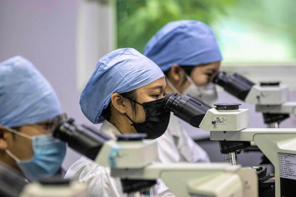 Scoperto un nuovo coronavirus in Cina: è trasmissibile dai pipistrelli all’uomo