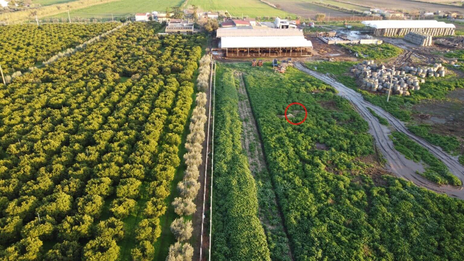 Basilicata, liquami zootecnici nei campi di Scanzano Jonico: parte la denuncia dei grillini