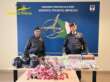 Gadget di “Squid Game” falsi: 17mila prodotti sequestrati nel Barese, 2 denunce