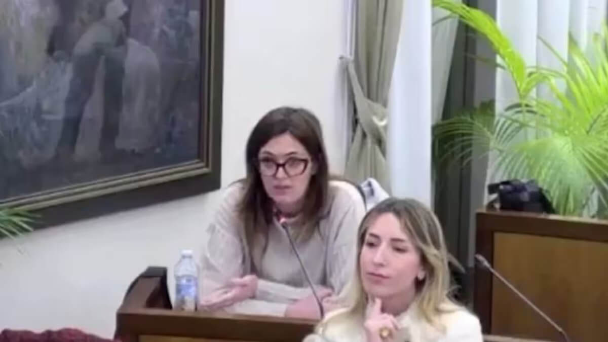 «Sei incinta? Dimettiti»: bufera su una consigliera comunale di Fratelli d’Italia «Sei incinta? Dimettiti»: bufera su una consigliera comunale di Fratelli d’Italia