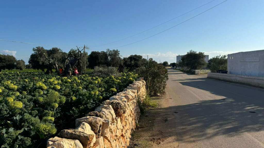 Galleria foto 'Nuovo ospedale Monopoli-Fasano, via ai lavori per le strade: «La prima pronta a luglio»' - foto 1