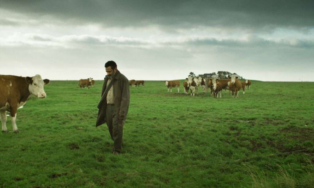 Galleria foto 'La Puglia alla Berlinale con Yunan: il film girato anche sulla Murgia barese' - foto 1