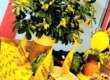 8 marzo, mimose in dono da 5 pugliesi su 10: in alternativa rose, primule e ranuncoli gialli