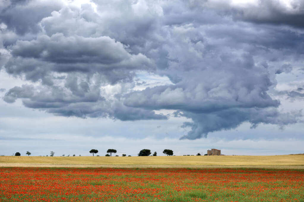 Galleria foto 'Cammini di Puglia 2024, boom di viandanti: «Siamo tra le destinazioni più frequentate d’Italia» – VIDEO' - foto 3