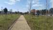 Bari, 905 alberi e 1193 arbusti: inaugurato a Japigia il bosco urbano dedicato alle vittime del Covid – FOTO
