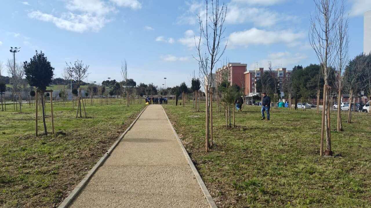 Bari, 905 alberi e 1193 arbusti: inaugurato a Japigia il bosco urbano dedicato alle vittime del Covid – FOTO