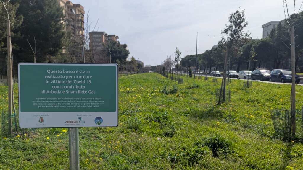Bari, 905 alberi e 1193 arbusti: inaugurato a Japigia il bosco urbano dedicato alle vittime del Covid – FOTO