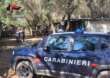 Porto Cesareo, scoperto un campeggio abusivo in un agriturismo: denunciato un imprenditore