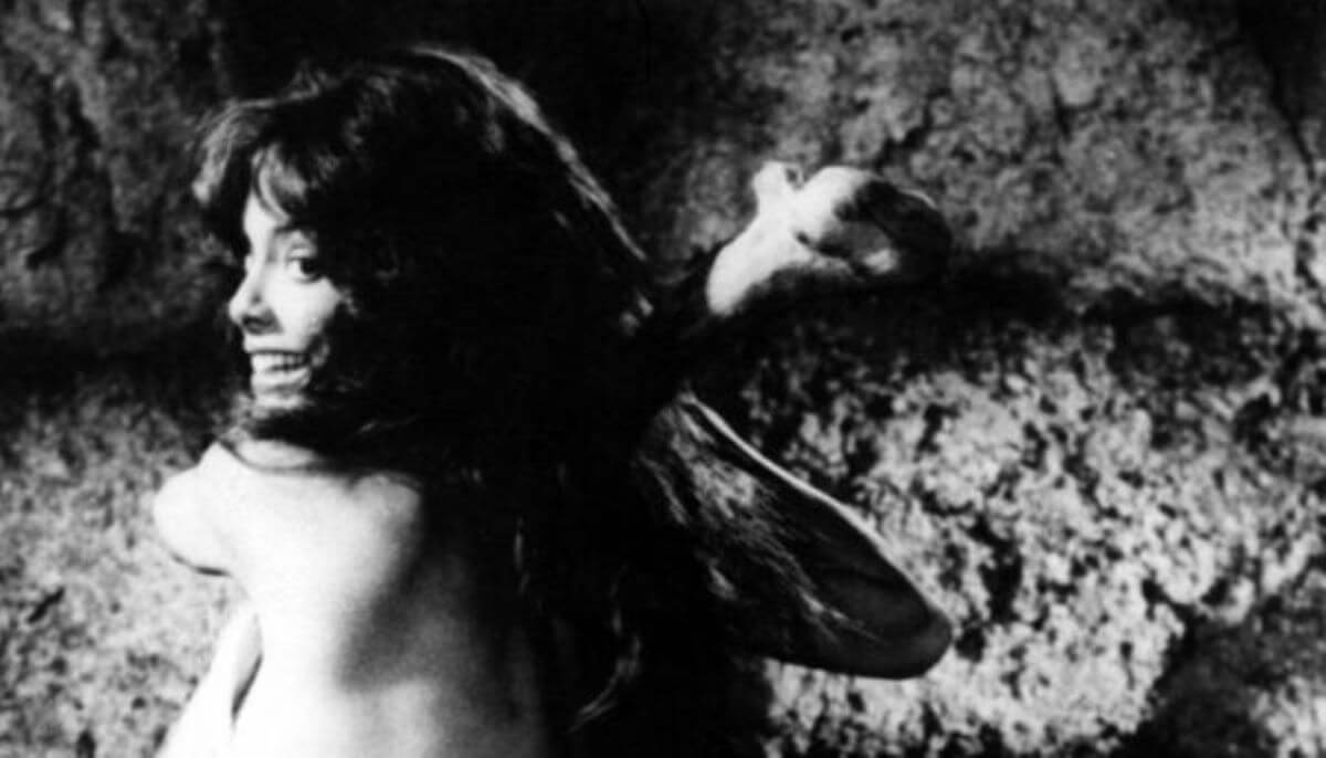 Lutto nel mondo del cinema, morta l’attrice Nadia Cassini: aveva 76 anni Lutto nel mondo del cinema, morta l’attrice Nadia Cassini: aveva 76 anni