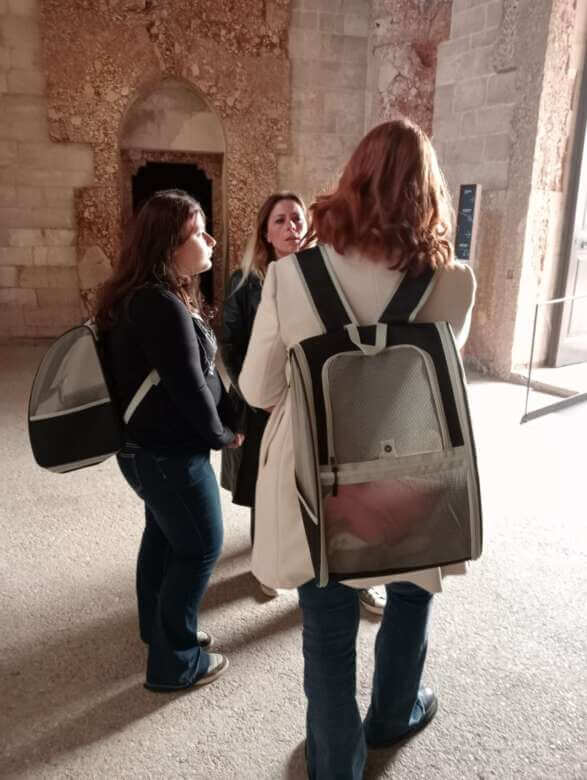 Castel del Monte accoglie la primavera con il servizio “Pet Friendly”: «Gli animali sono i benvenuti» – FOTO