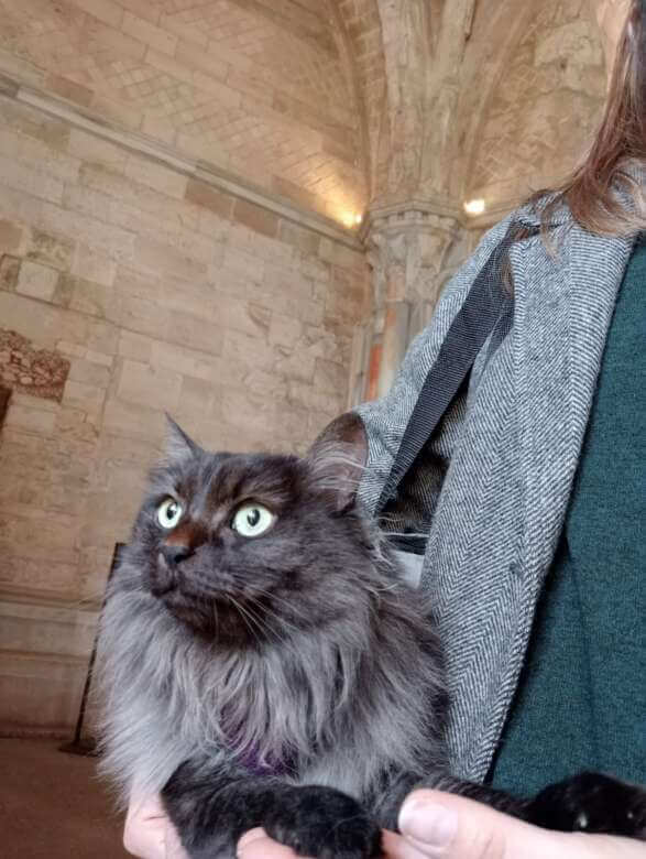 Castel del Monte accoglie la primavera con il servizio “Pet Friendly”: «Gli animali sono i benvenuti» – FOTO