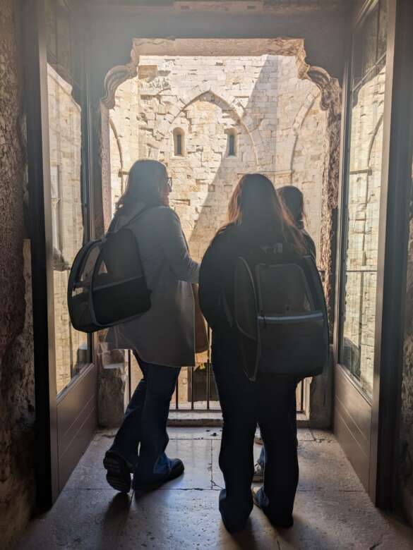 Castel del Monte accoglie la primavera con il servizio “Pet Friendly”: «Gli animali sono i benvenuti» – FOTO