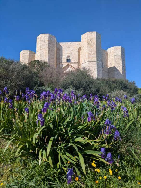 Castel del Monte accoglie la primavera con il servizio “Pet Friendly”: «Gli animali sono i benvenuti» – FOTO