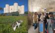 Castel del Monte accoglie la primavera con il servizio “Pet Friendly”: «Gli animali sono i benvenuti» – FOTO
