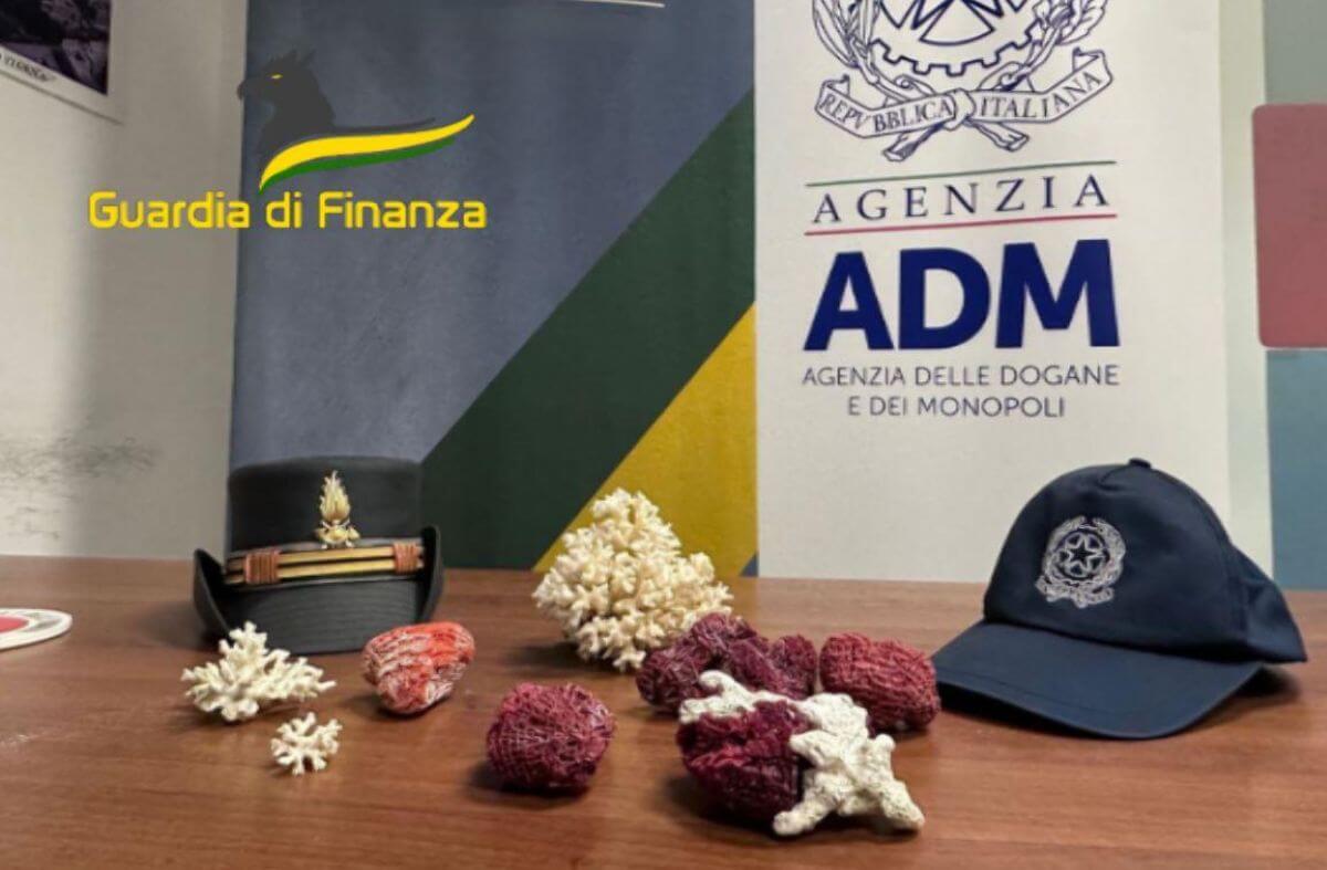 Bari, i souvenir dai paradisi naturalistici sono coralli a rischio estinzione: multati tre turisti in aeroporto