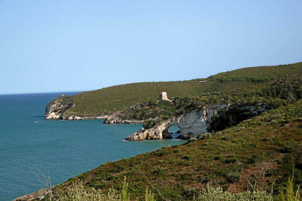 Barium Bay, dal Ministero ok al parco eolico offshore tra Vieste e Monopoli