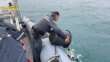 Manfredonia, sequestrati 3.500 ricci di mare pescati illegalmente: in quattro finiscono nei guai