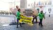 Un maiale gigante a Montecitorio: la protesta di Greenpeace contro gli allevamenti intensivi – VIDEO