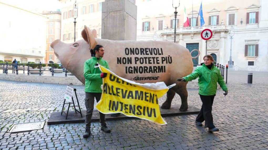 Un maiale gigante a Montecitorio: la protesta di Greenpeace contro gli allevamenti intensivi – VIDEO Un maiale gigante a Montecitorio: la protesta di Greenpeace contro gli allevamenti intensivi – VIDEO
