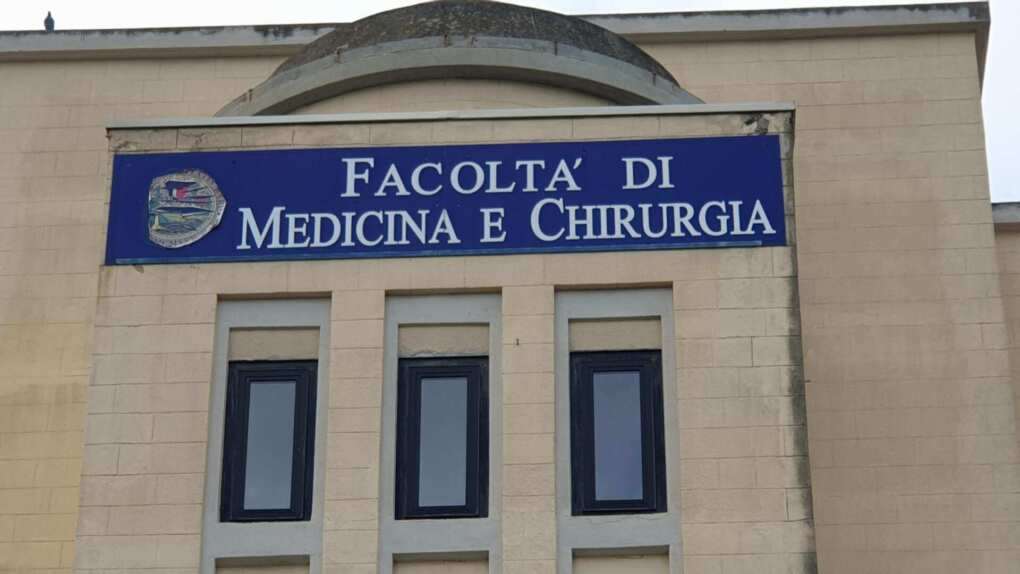 Tirocinante molestata, si attiva il Comitato di Garanzia dell’UniBa. Link insiste: «Via il medico dalla lista»