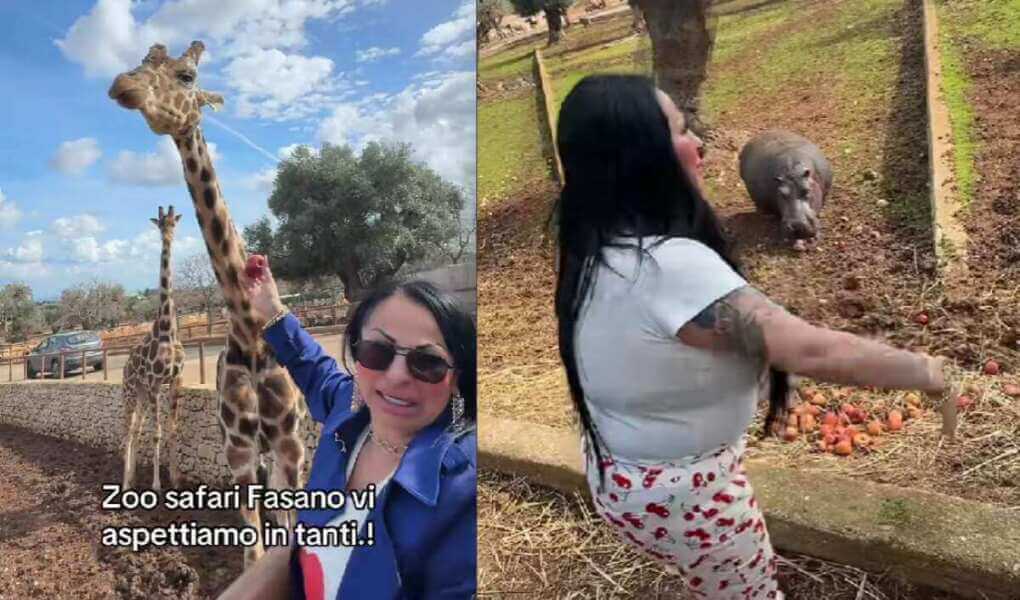 Fasano, la tiktoker Rita De Crescenzo si diverte allo Zoo Safari: «Venite vi aspettiamo in tanti» – VIDEO Fasano, la tiktoker Rita De Crescenzo si diverte allo Zoo Safari: «Venite vi aspettiamo in tanti» – VIDEO