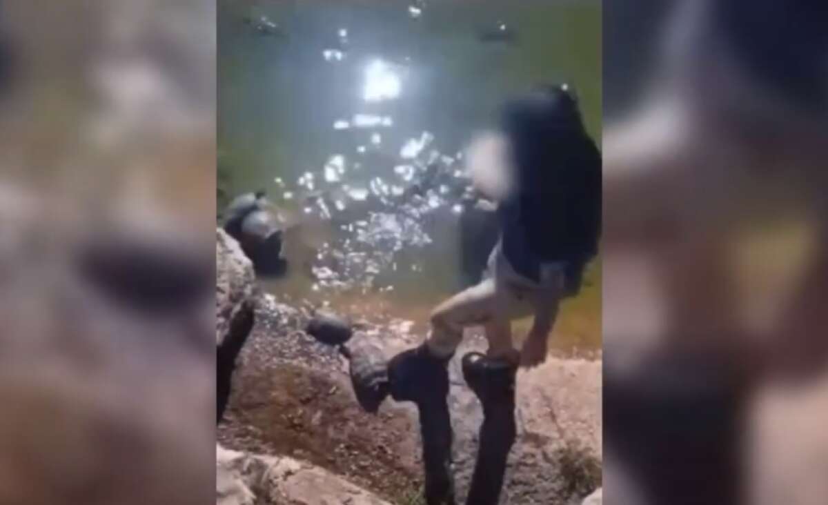 Bari, lancia la sigaretta e poi prende a calci le tartarughe di Parco 2 Giugno: denunciata – VIDEO Bari, lancia la sigaretta e poi prende a calci le tartarughe di Parco 2 Giugno: denunciata – VIDEO