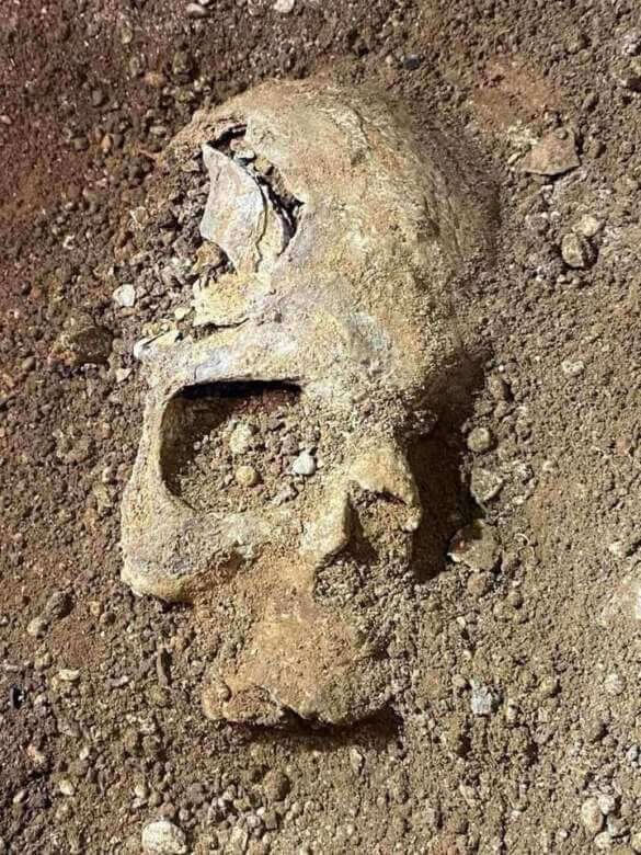 Fasano, teschio nella “Grave degli appestati”: «È di un uomo del 1690». Si indaga sulla peste – FOTO Fasano, teschio nella “Grave degli appestati”: «È di un uomo del 1690». Si indaga sulla peste – FOTO