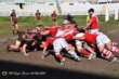 Tigri Rugby Bari, sconfitta amara contro il Colleferro per 17-31: «Stagione in salita» – FOTO